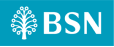 BSN